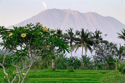 La ronde des volcans de Java à Bali 3