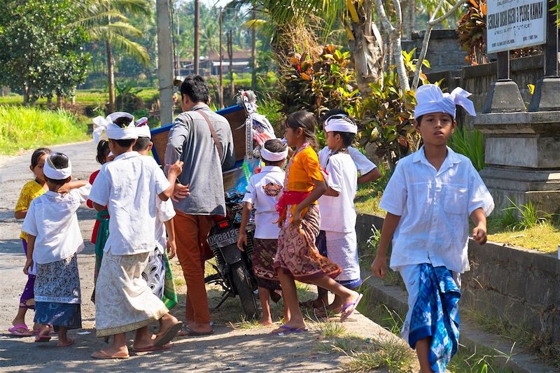 Environs d'Ubud - Bali - Indonésie