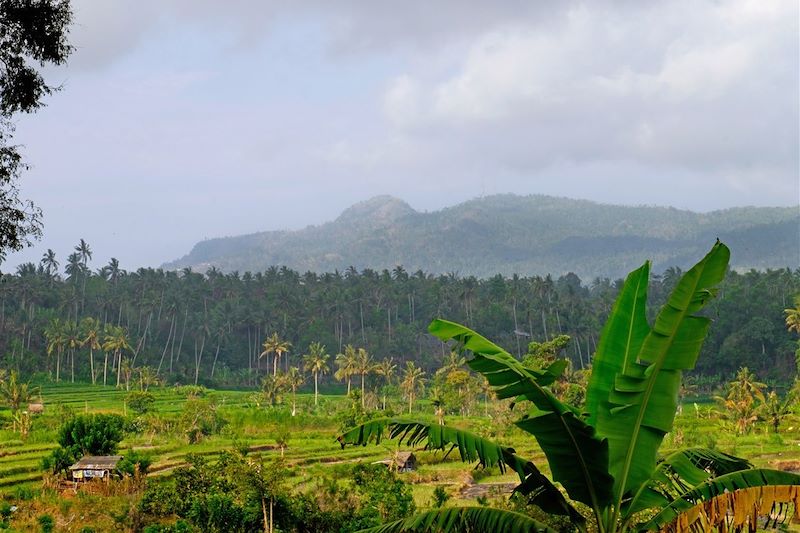 Tenganan - Bali - Indonésie