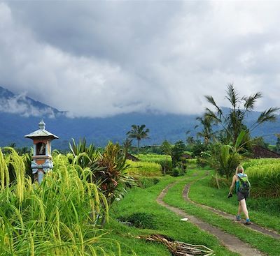 Trek et randonnée Indonésie