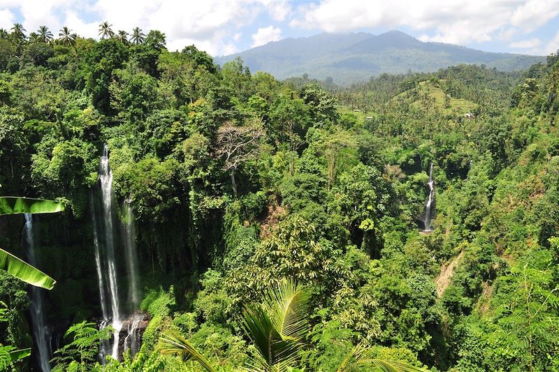 Vue de la cascade de Sekumpul - Bali - Indonésie