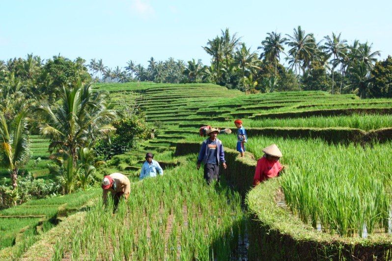 Bali, ce n'est pas que pour les enfants 