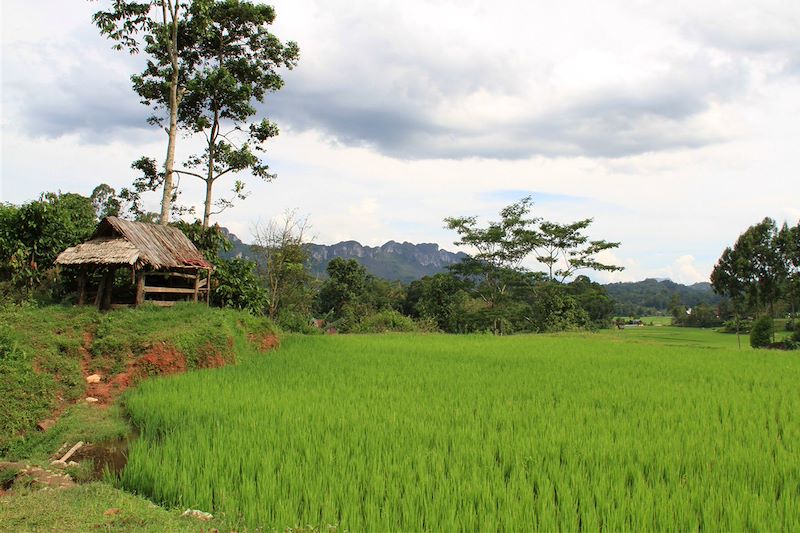 Belle échappée en Sulawesi (e-VTT)