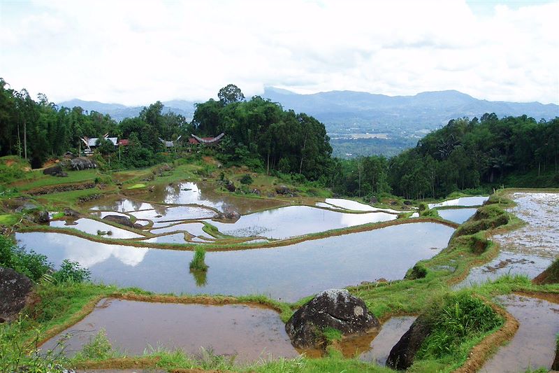 Belle échappée en Sulawesi (e-VTT)