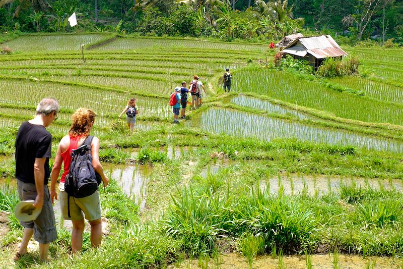 Un grand tour de Bali nature et authentique avec 3 nuits chez l'habitant, 2 nuits sous tentes, de nombreuses randonnées... 14
