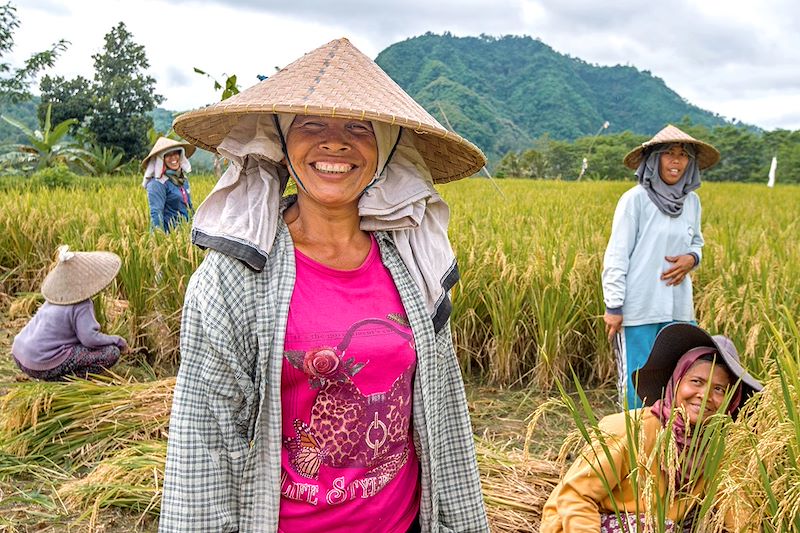 Un grand tour de Bali nature et authentique avec 3 nuits chez l'habitant, 2 nuits sous tentes, de nombreuses randonnées...