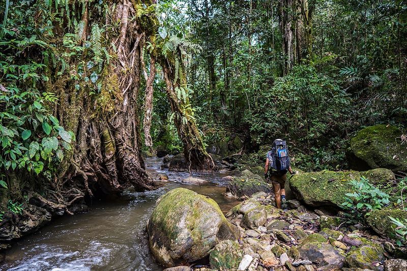 Expédition au Sulawesi - Indonésie