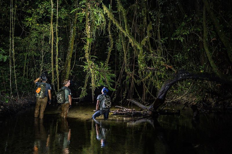 Sulawesi : l'expé !