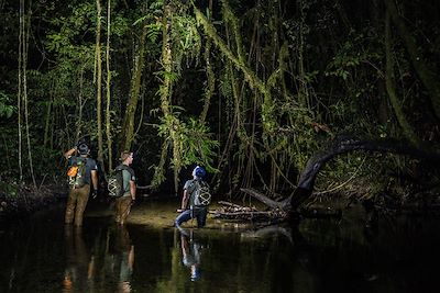 voyage Sulawesi : l'expé !