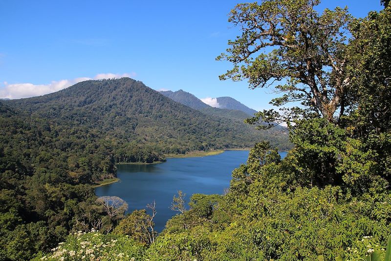 Lac de Tamblingan - Bali - Indonésie