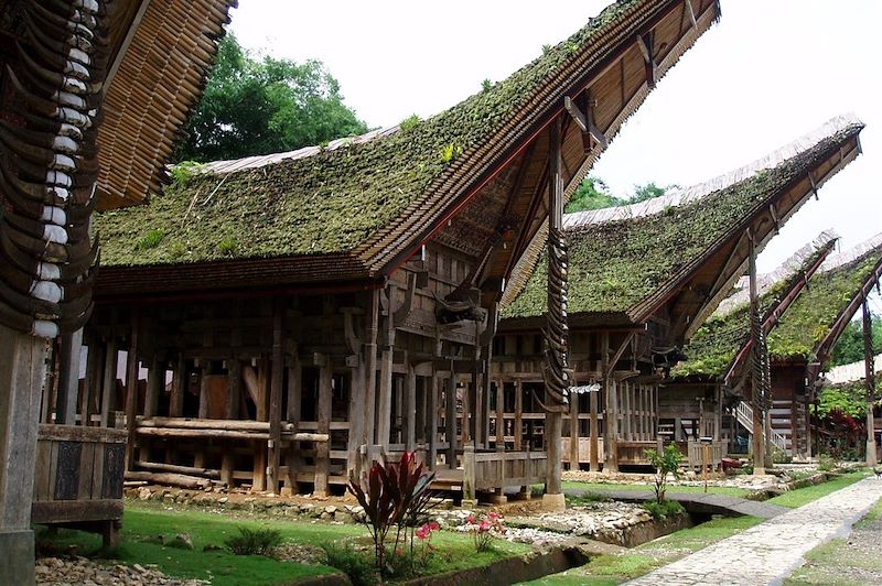 Village traditionnel Toraja - Indonésie
