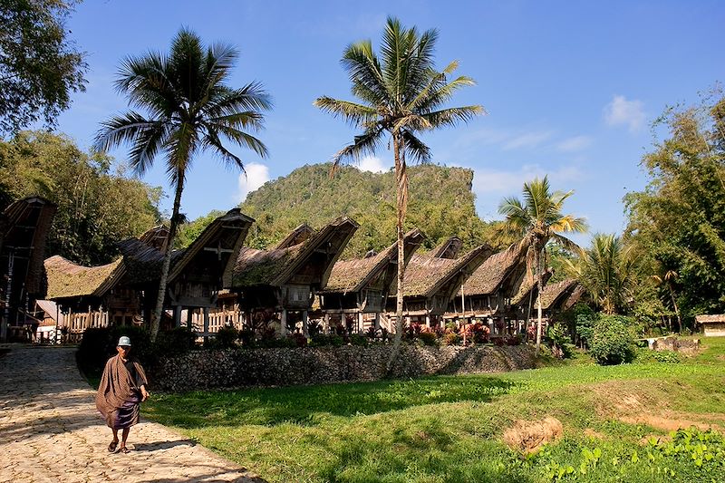 Greniers à riz et maisons toraja dans le village de Kete Kesu - Sulawesi - Indonésie