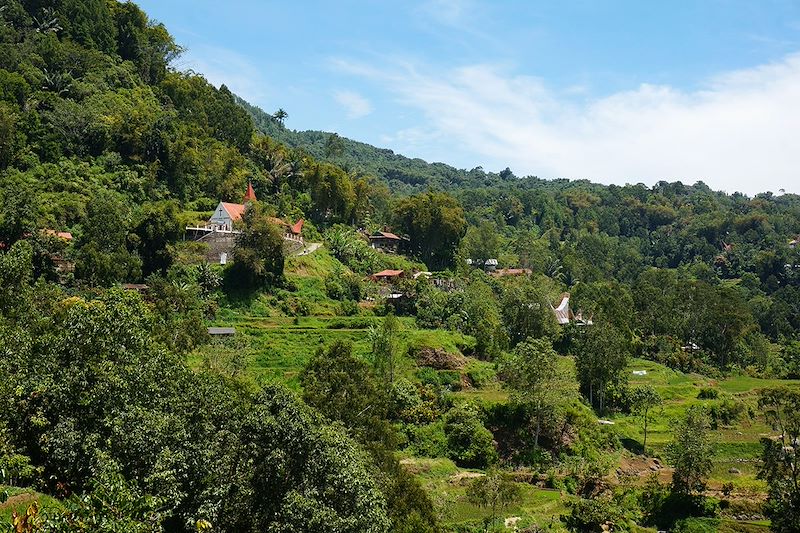 Village en pays Toraja - Île de Sulawesi - Indonésie 