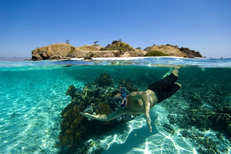 snorkeling - Indonésie