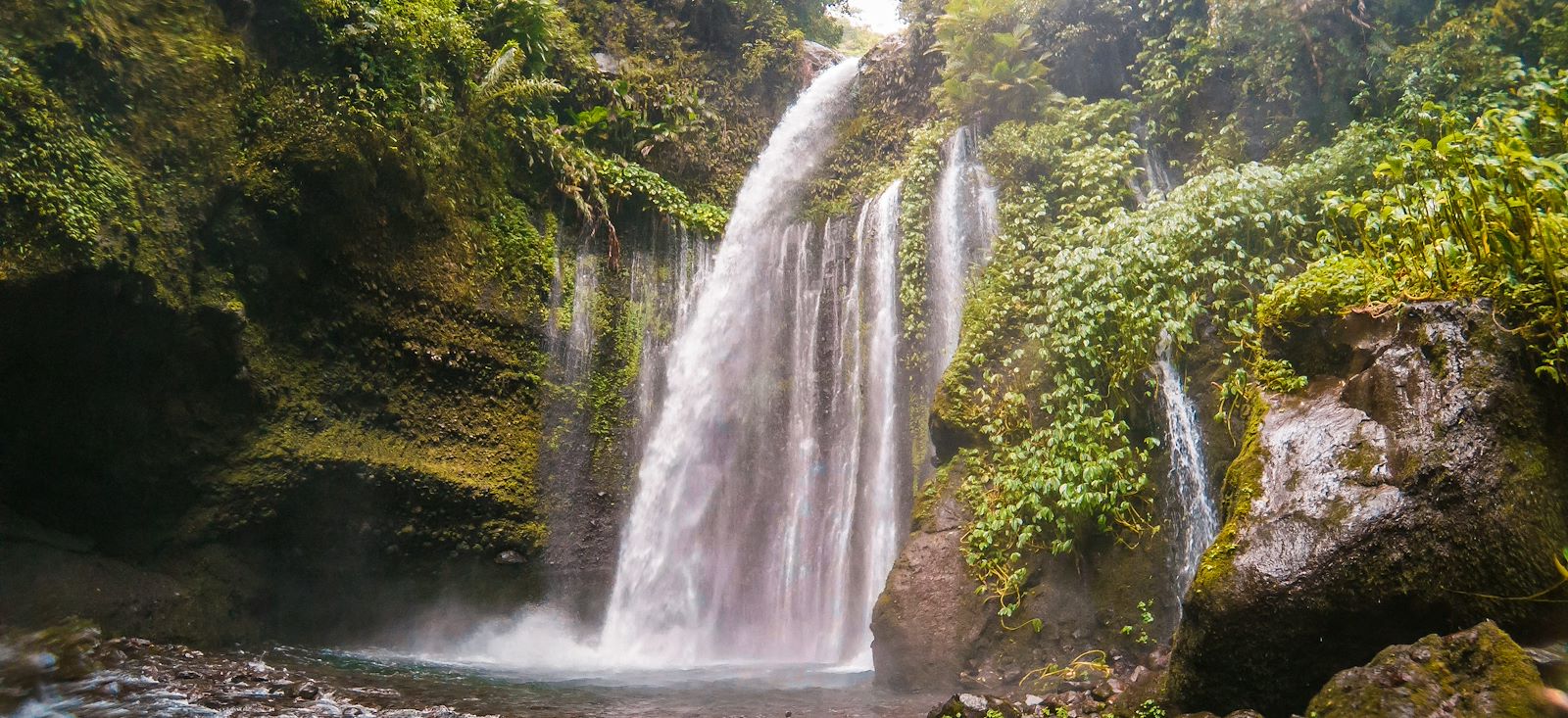 Image Ascension du Rinjani et rizières de Bali