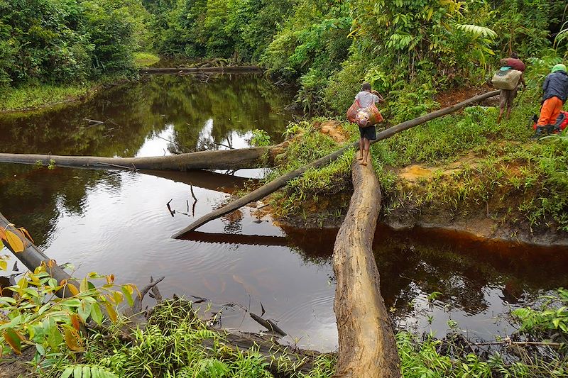 En pays korowai - Papouasie - Indonésie