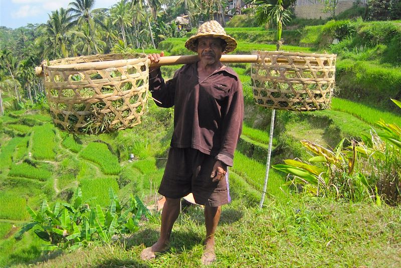 Bali, l'aventure en Mehari