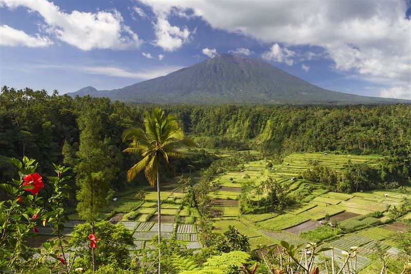 Bali, l'aventure en Mehari