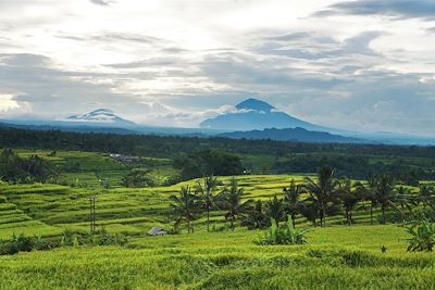 Bali, l'aventure en Mehari 2