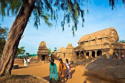 voyage L'essentiel du Tamil Nadu et du Kerala