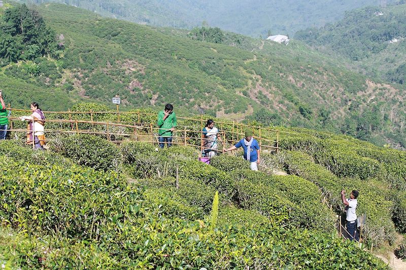 Trek dans le royaume oublié du Sikkim