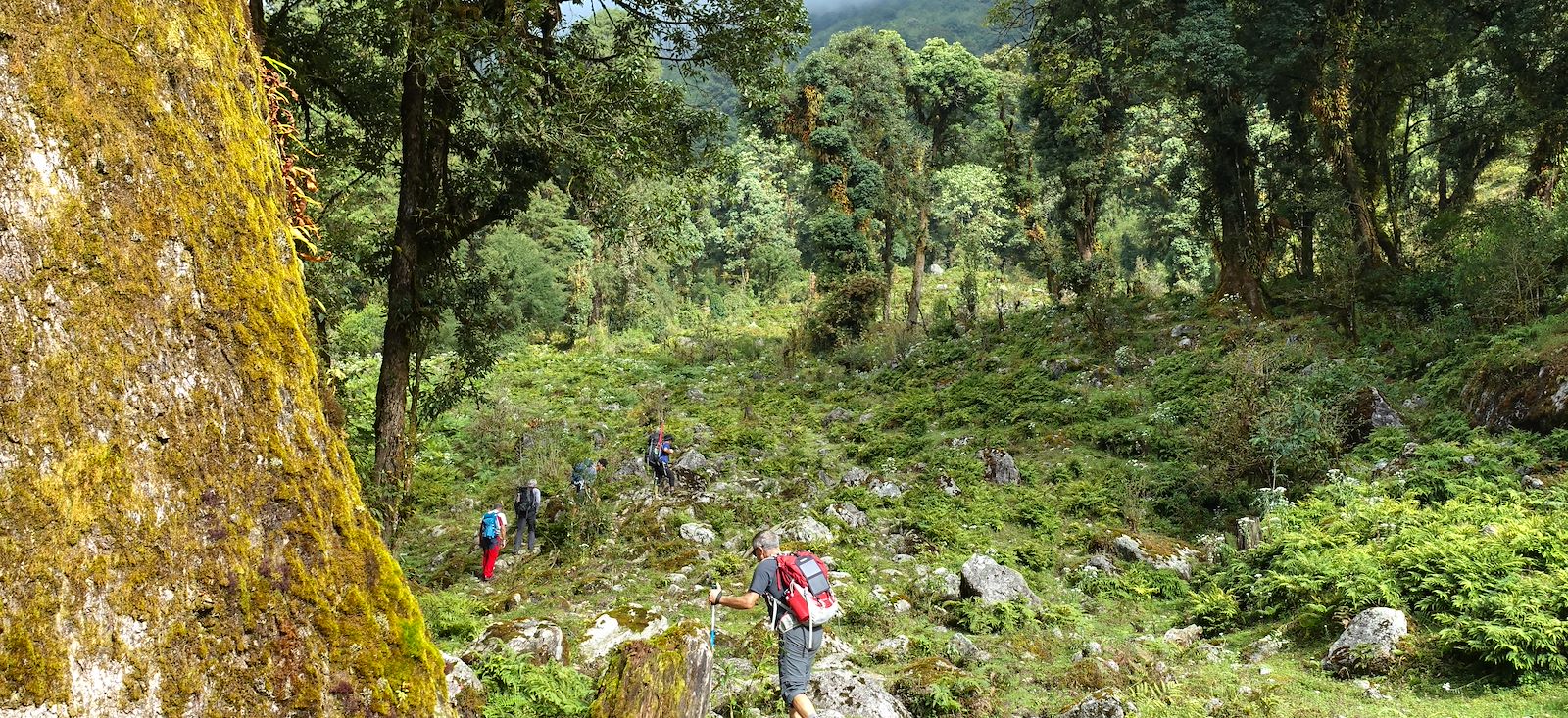 Image Sikkim, au pied du Kanchenjunga