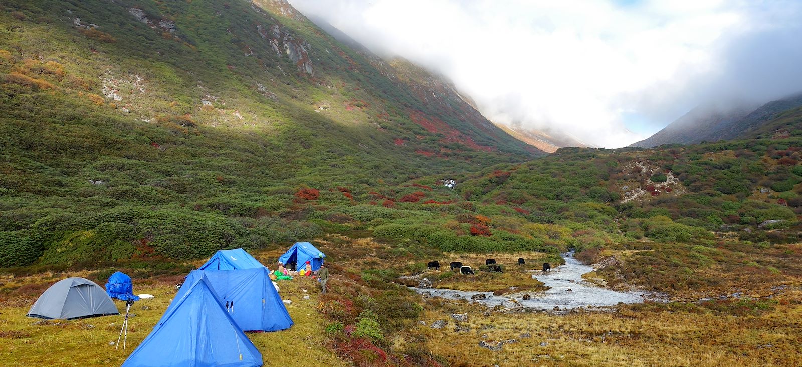 Image Sikkim, au pied du Kanchenjunga