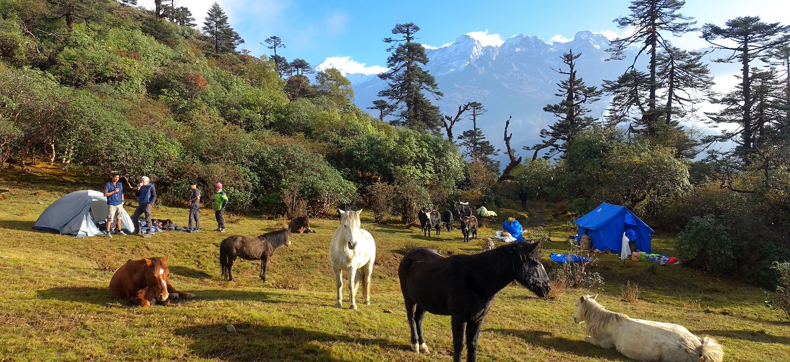 Image Sikkim, au pied du Kanchenjunga