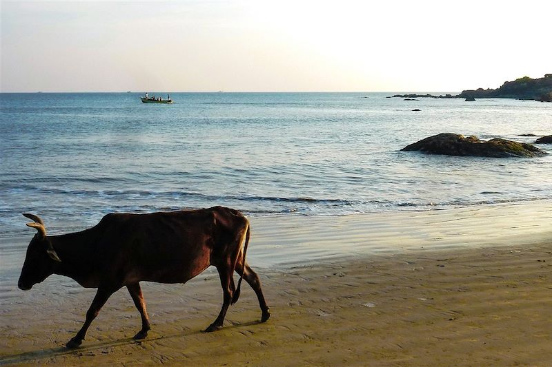 Plage de Goa - Inde