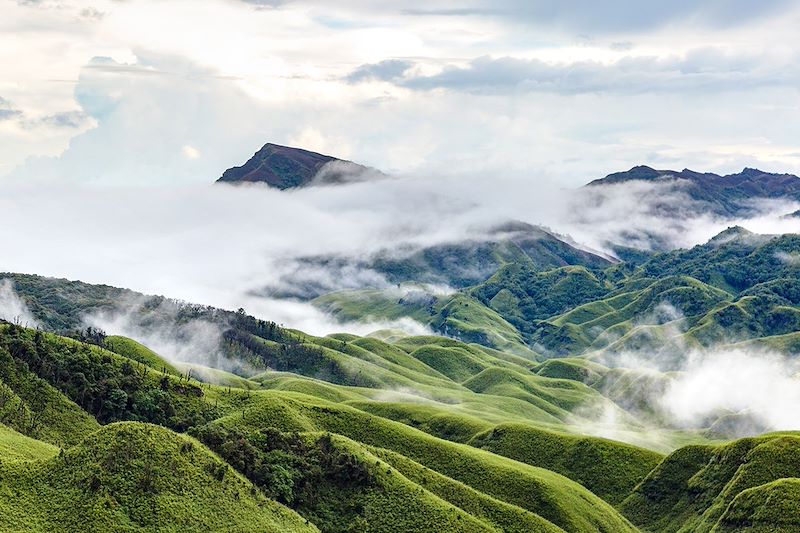 Vallée de Dzüko - Nagaland - Inde