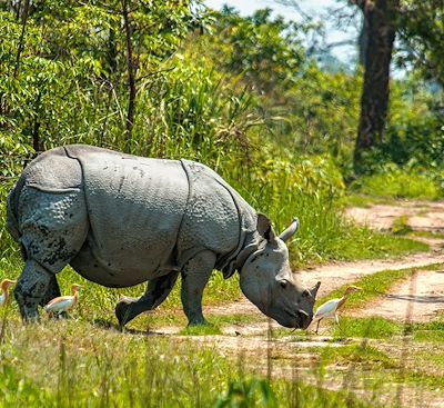 Trek et randonnée Inde