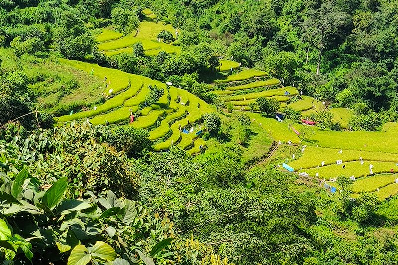 Trek vers le village de Kota - Inde