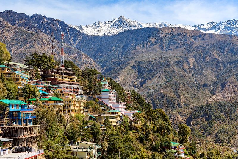 Dharamsala - Himachal Pradesh - Inde