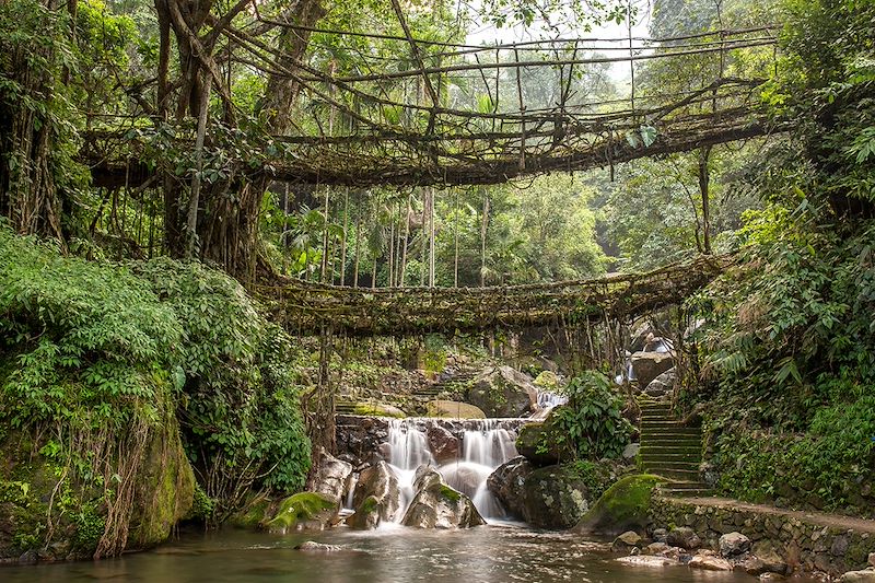 Double Decker Root Bridge à Nongriat - Meghalaya - Inde