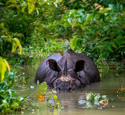 Voyages sur mesure Inde