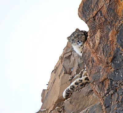 Trek et randonnée Inde