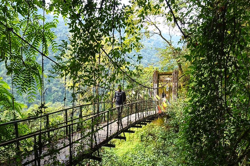 Vers Tshoka - Sikkim - Inde