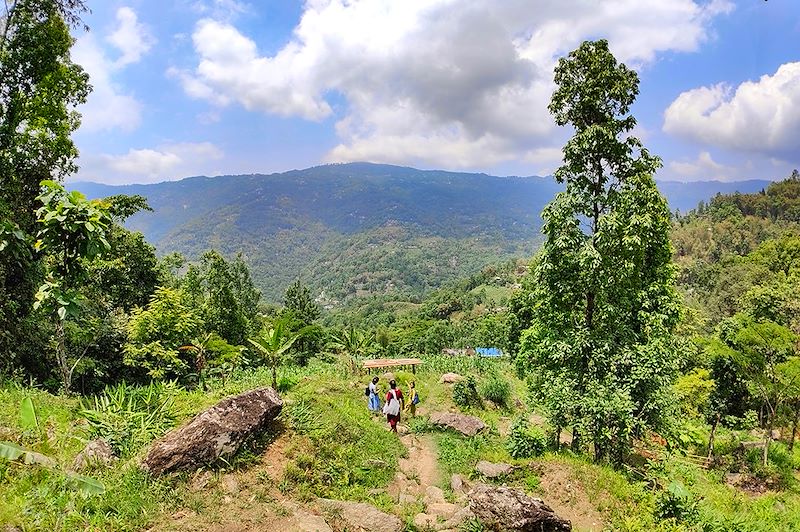 En direction du village de Lolay - District de Kalimpong - Inde himalayenne