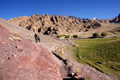 Expériences et rencontres Ladakhies 2