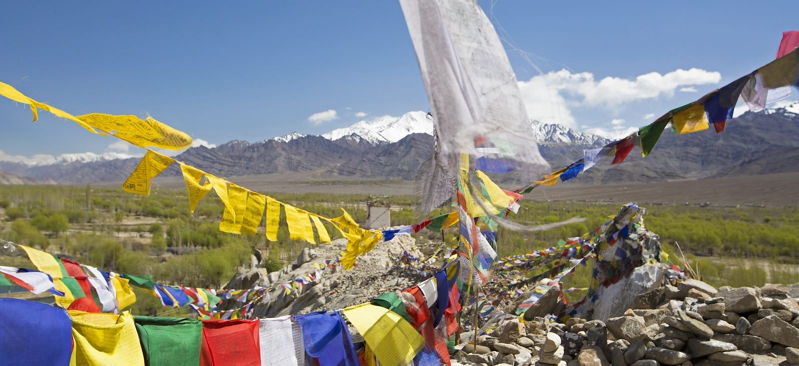 Image Les rencontres Ladakhies