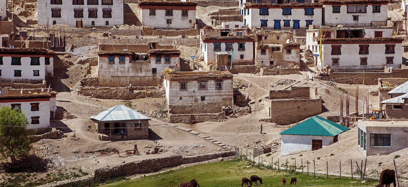 Image Spiti : Trek au petit Tibet !