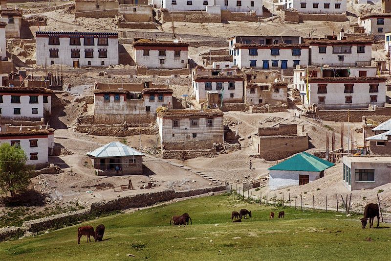 Village de Kibber dans la vallée de Spiti - Inde