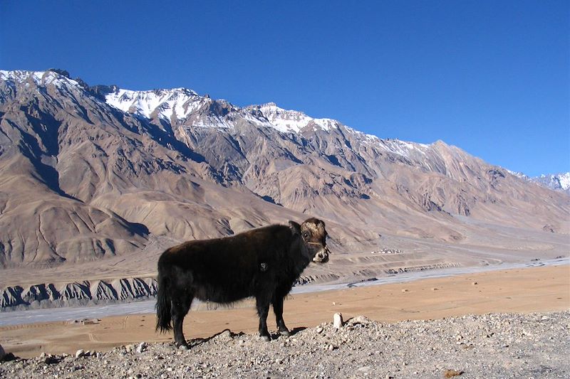 Spiti : Trek au petit Tibet !