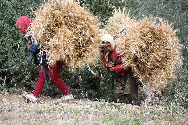 Paysannes dans la vallée de Spiti - Inde