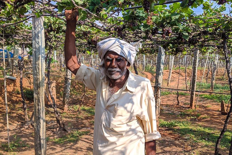 Incontournables du Tamil Nadu et du Kerala