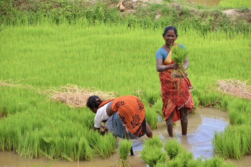 Route entre Thekkady et Madurai - Inde