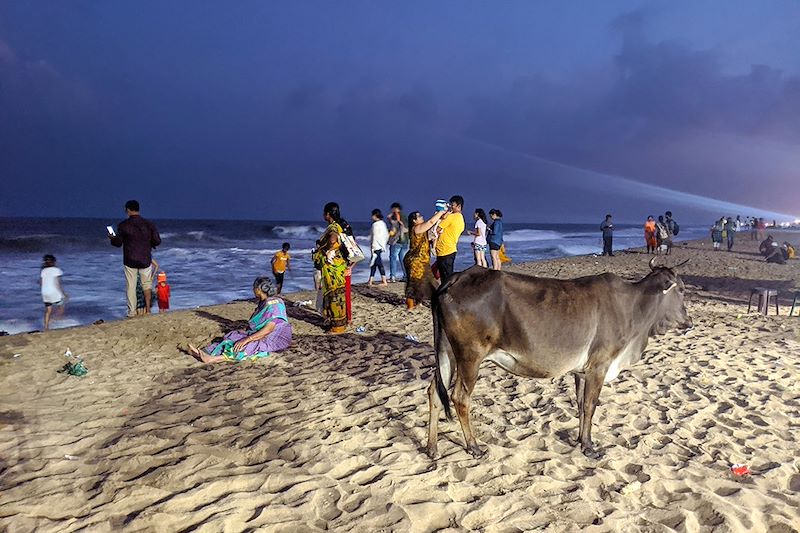 Le Kerala et le Tamil Nadu