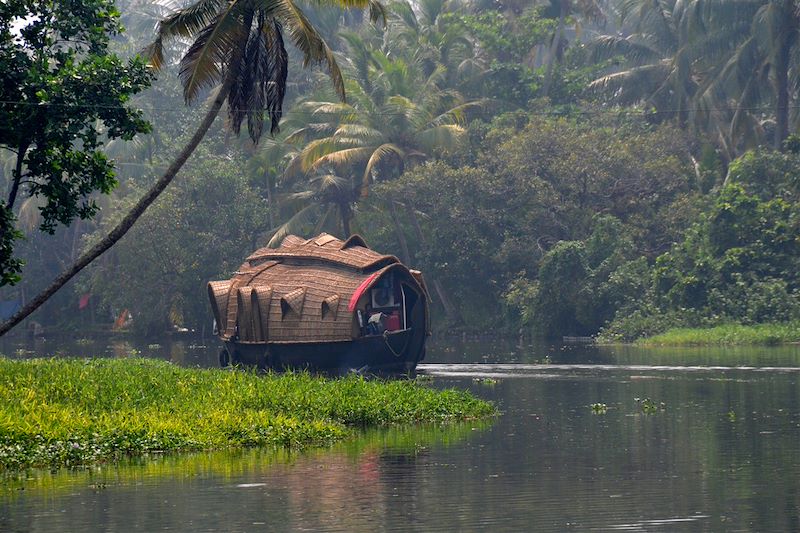 Backwaters - Kerala - Inde