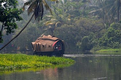 L'unique Kerala 4