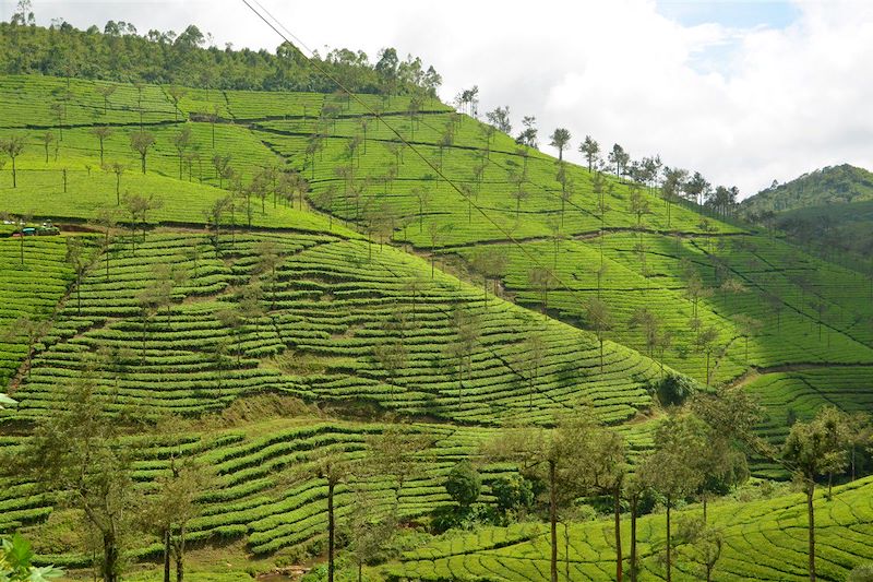 L'unique Kerala